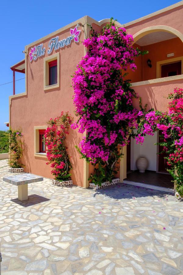 The Flower Oia